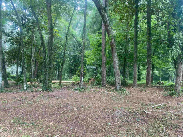 $52,000 | Xx Yvonne Court, Havana, FL 32333