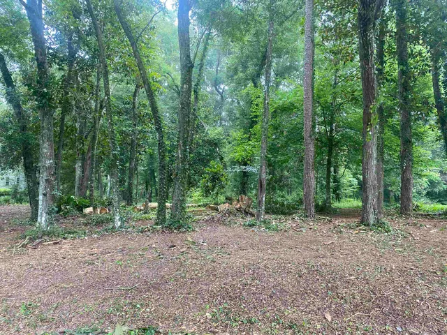 $52,000 | Xx Yvonne Court, Havana, FL 32333