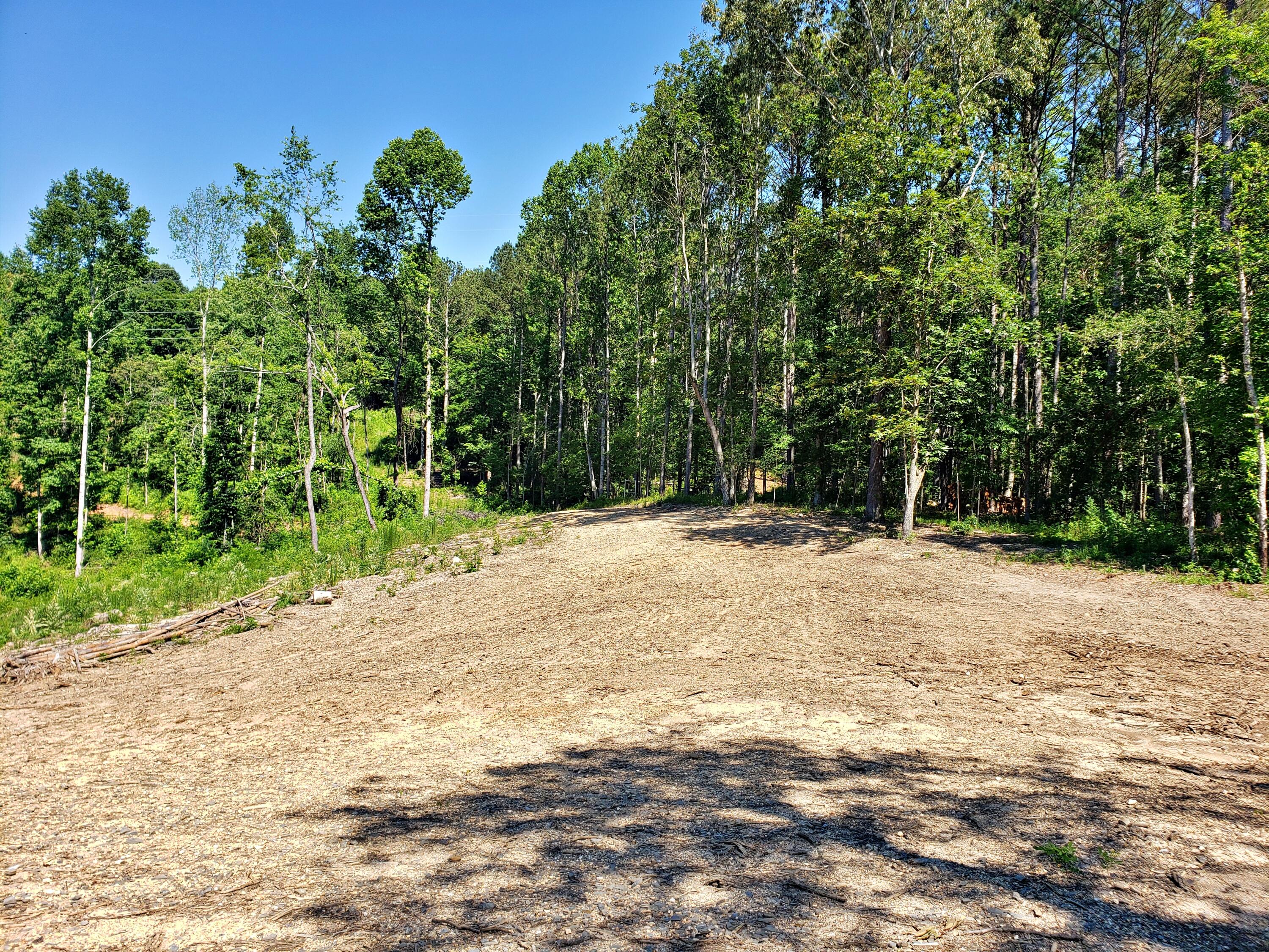 135 County Road Riceville, TN 37370 - Photo 1 of 13 20210618_111413
