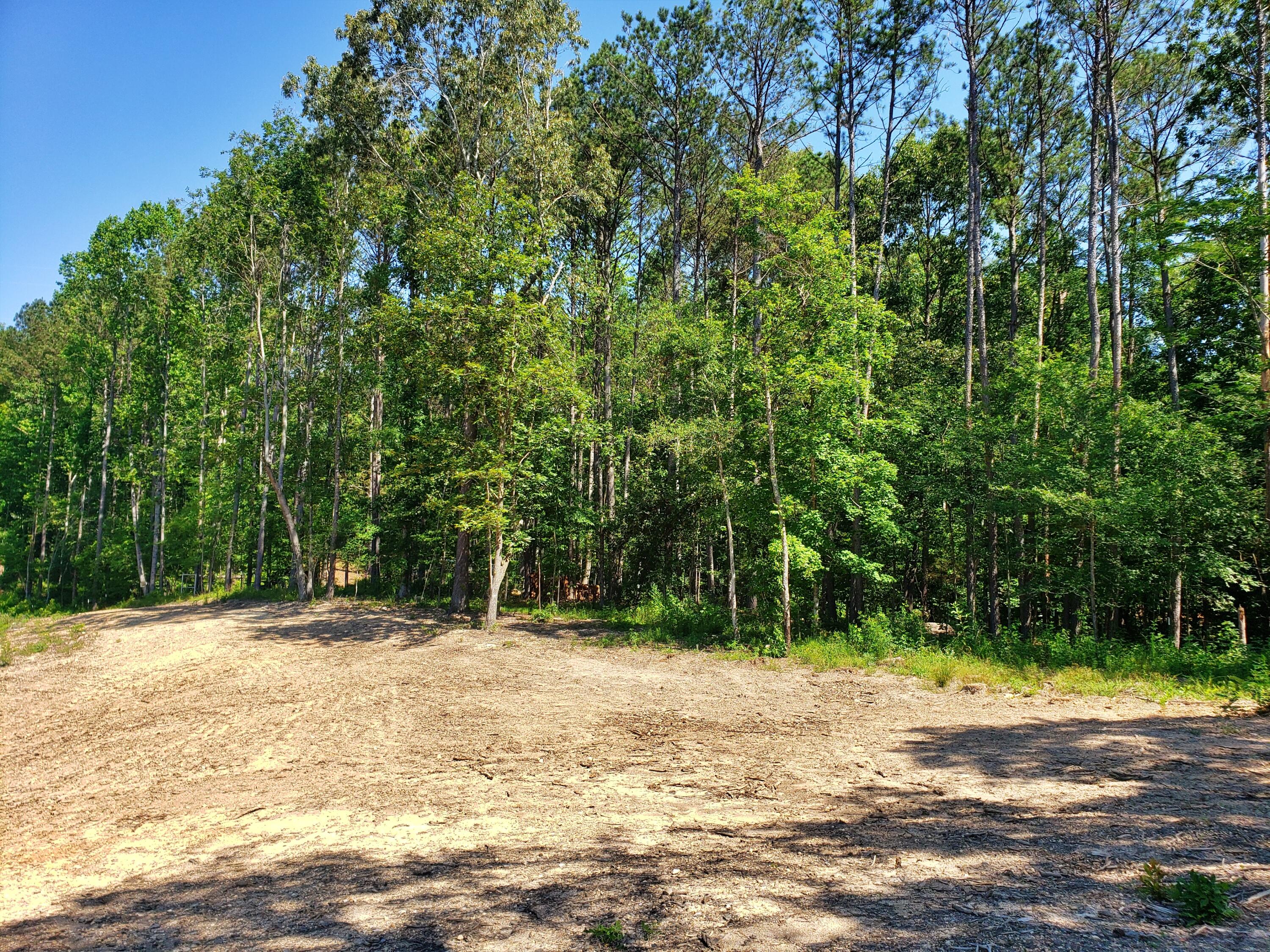 135 County Road Riceville, TN 37370 - Photo 2 of 13 20210618_111417