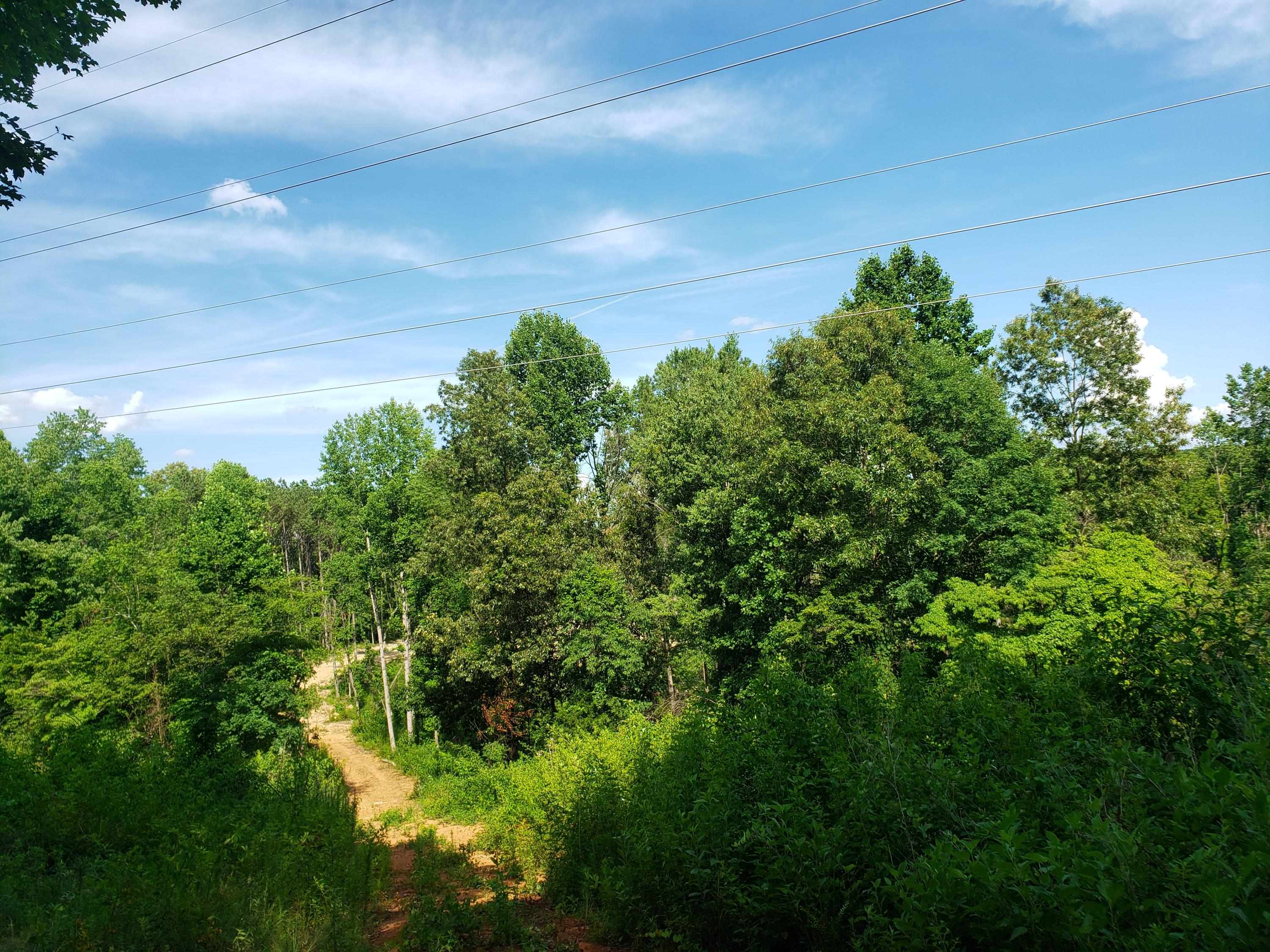 135 County Road Riceville, TN 37370 - Photo 11 of 13 20210630_165315