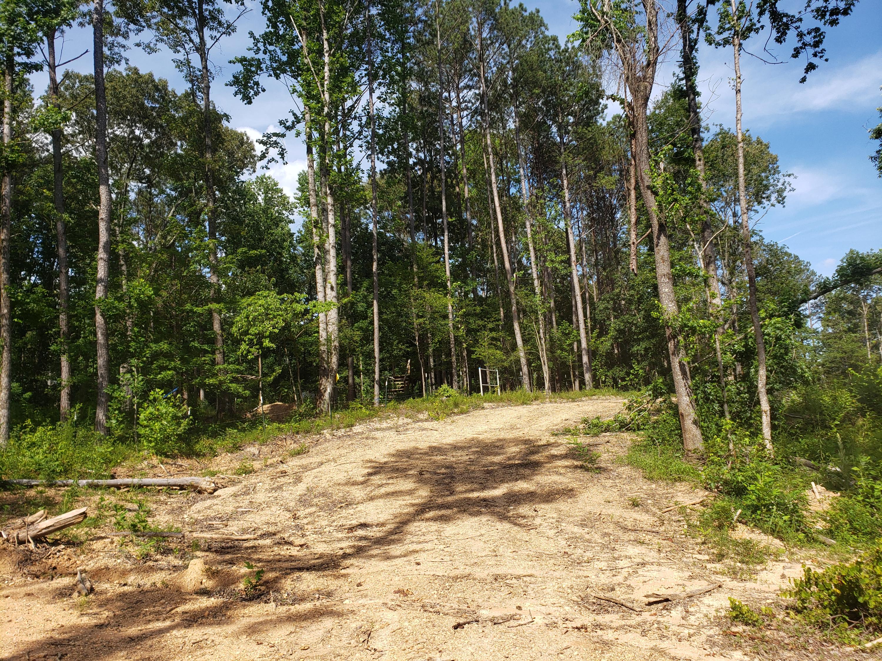 135 County Road Riceville, TN 37370 - Photo 12 of 13 20210630_165403