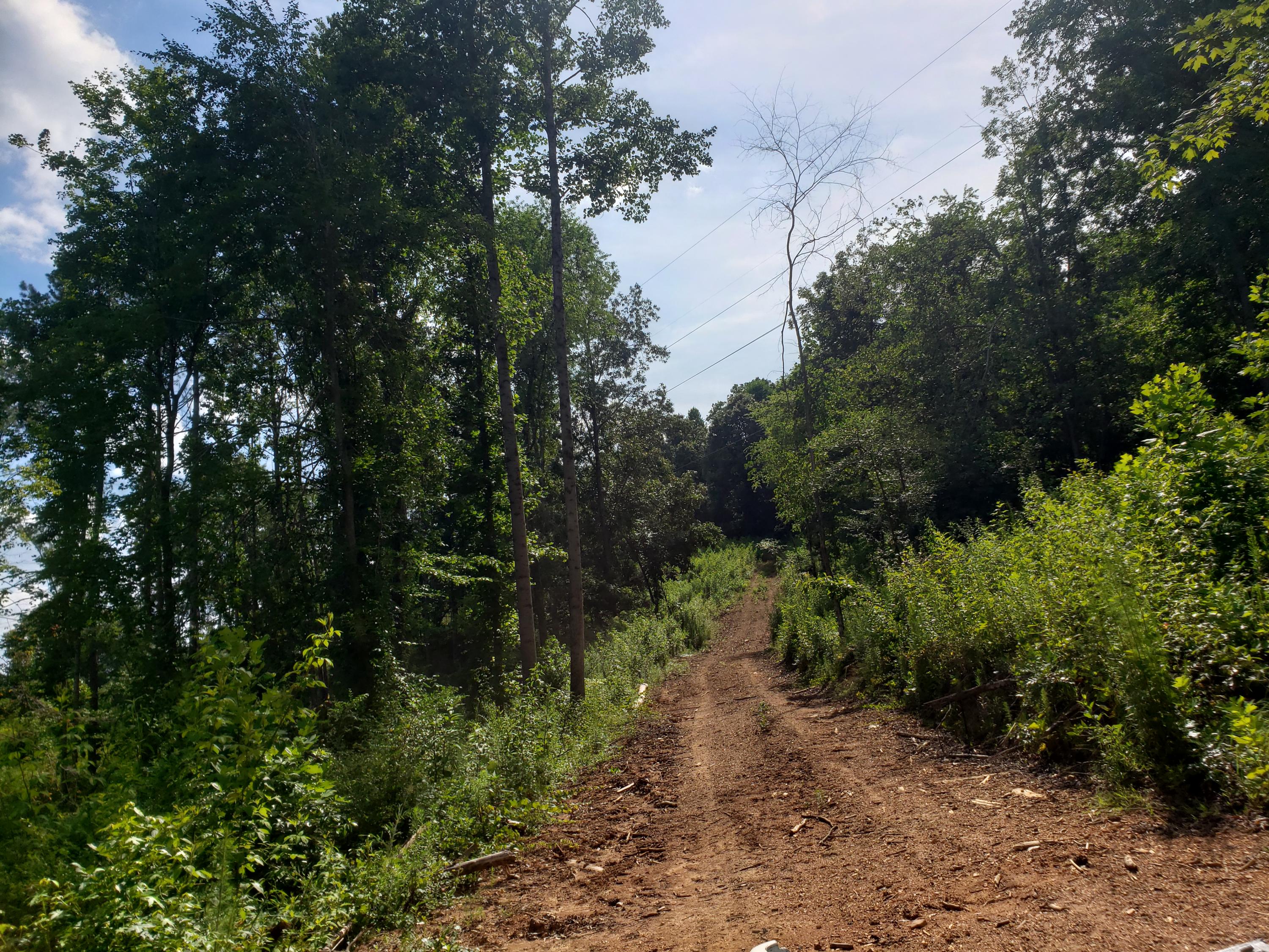 135 County Road Riceville, TN 37370 - Photo 13 of 13 20210630_165410