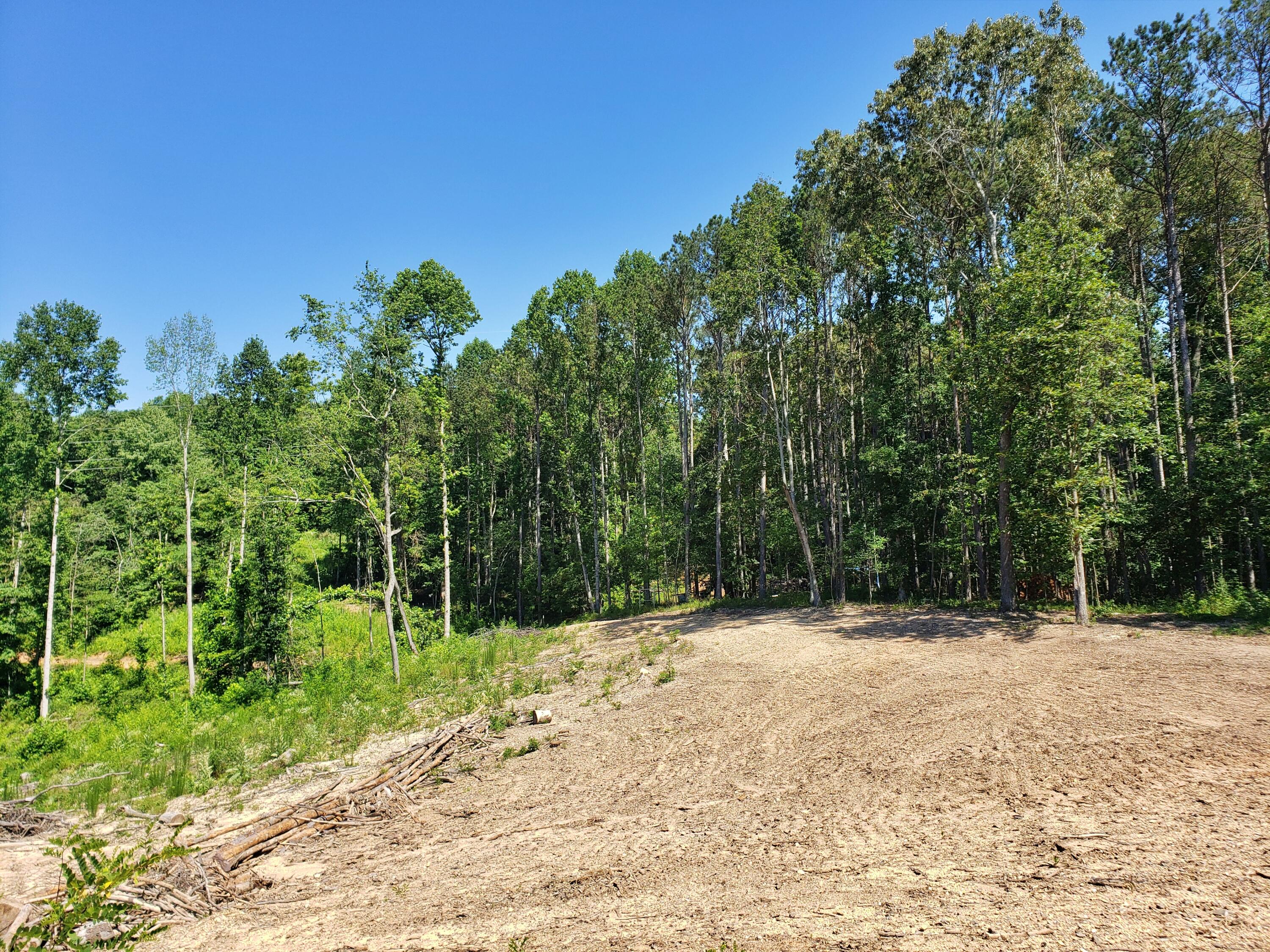135 County Road Riceville, TN 37370 - Photo 3 of 13 20210618_111433