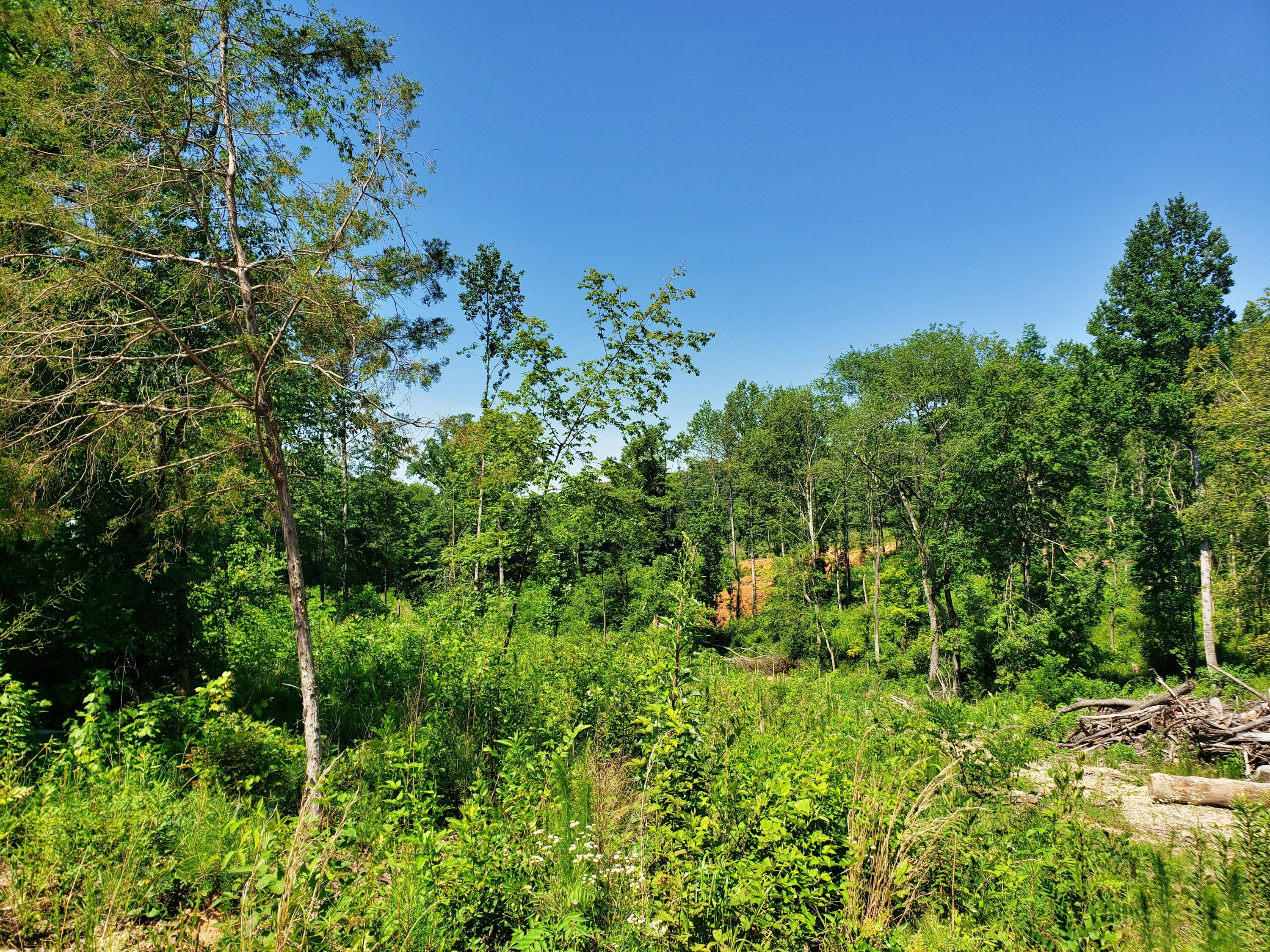 135 County Road Riceville, TN 37370 - Photo 4 of 13 20210618_111447