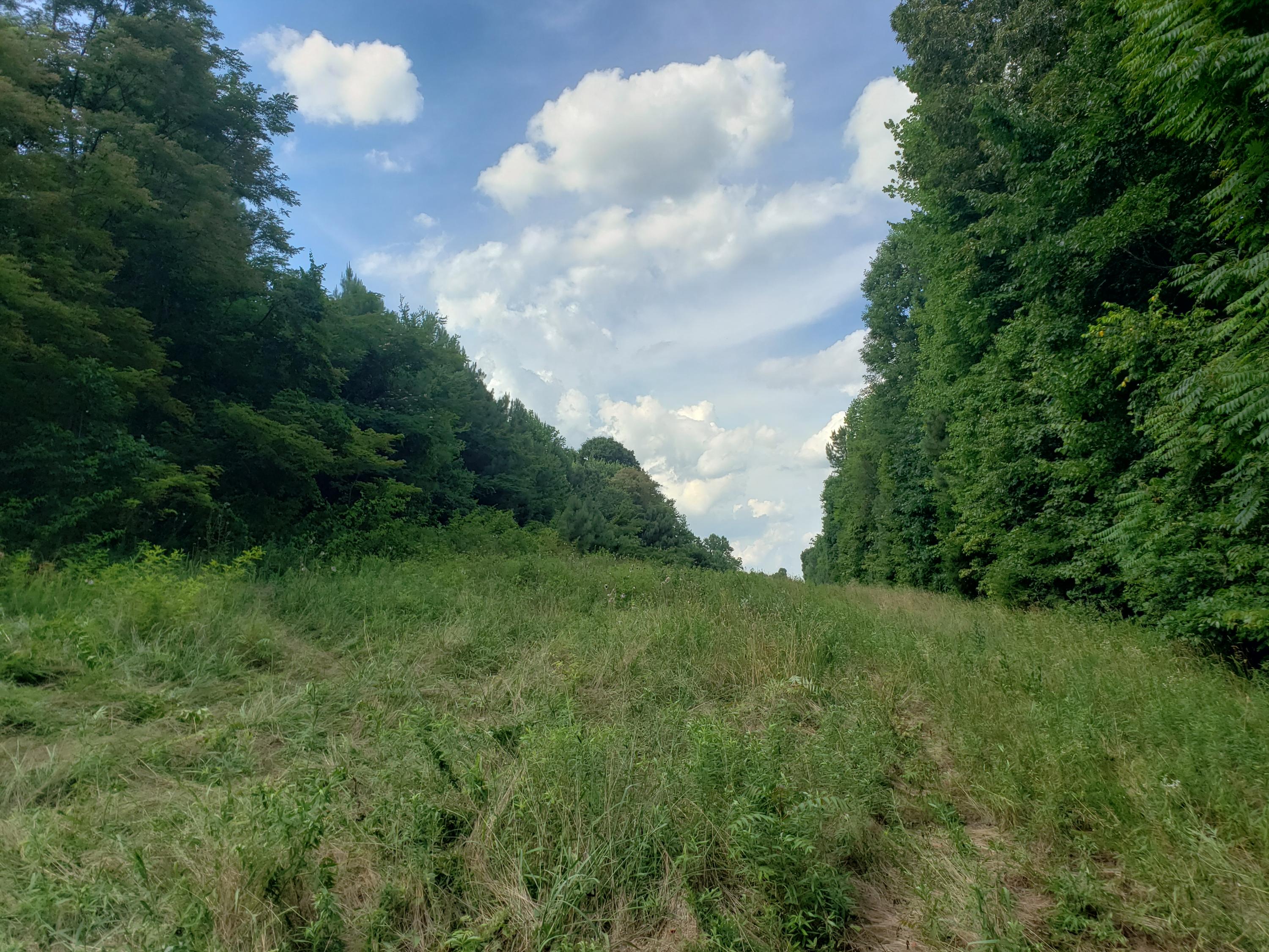 135 County Road Riceville, TN 37370 - Photo 6 of 13 20210630_165145