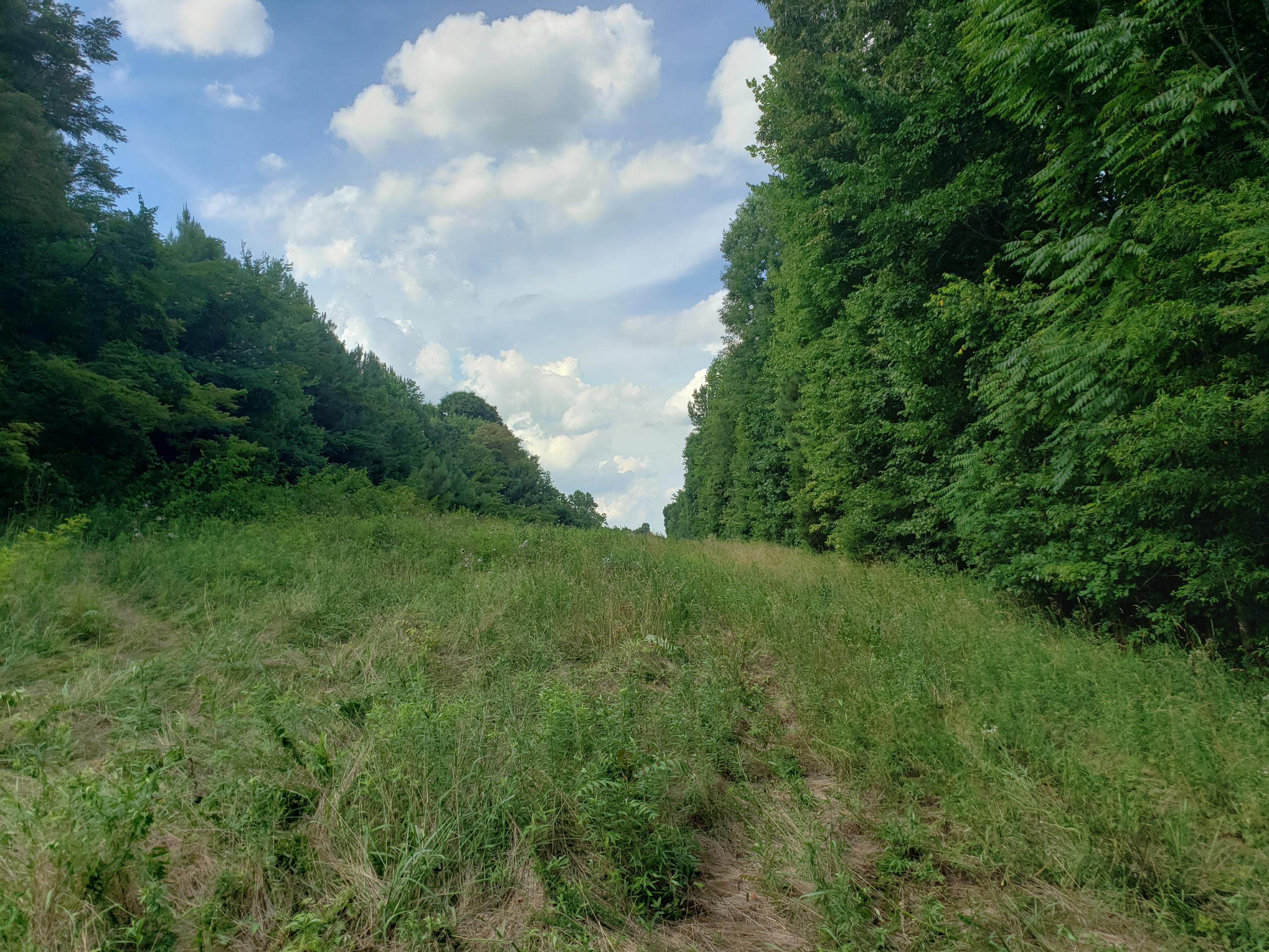 135 County Road Riceville, TN 37370 - Photo 8 of 13 20210630_165151