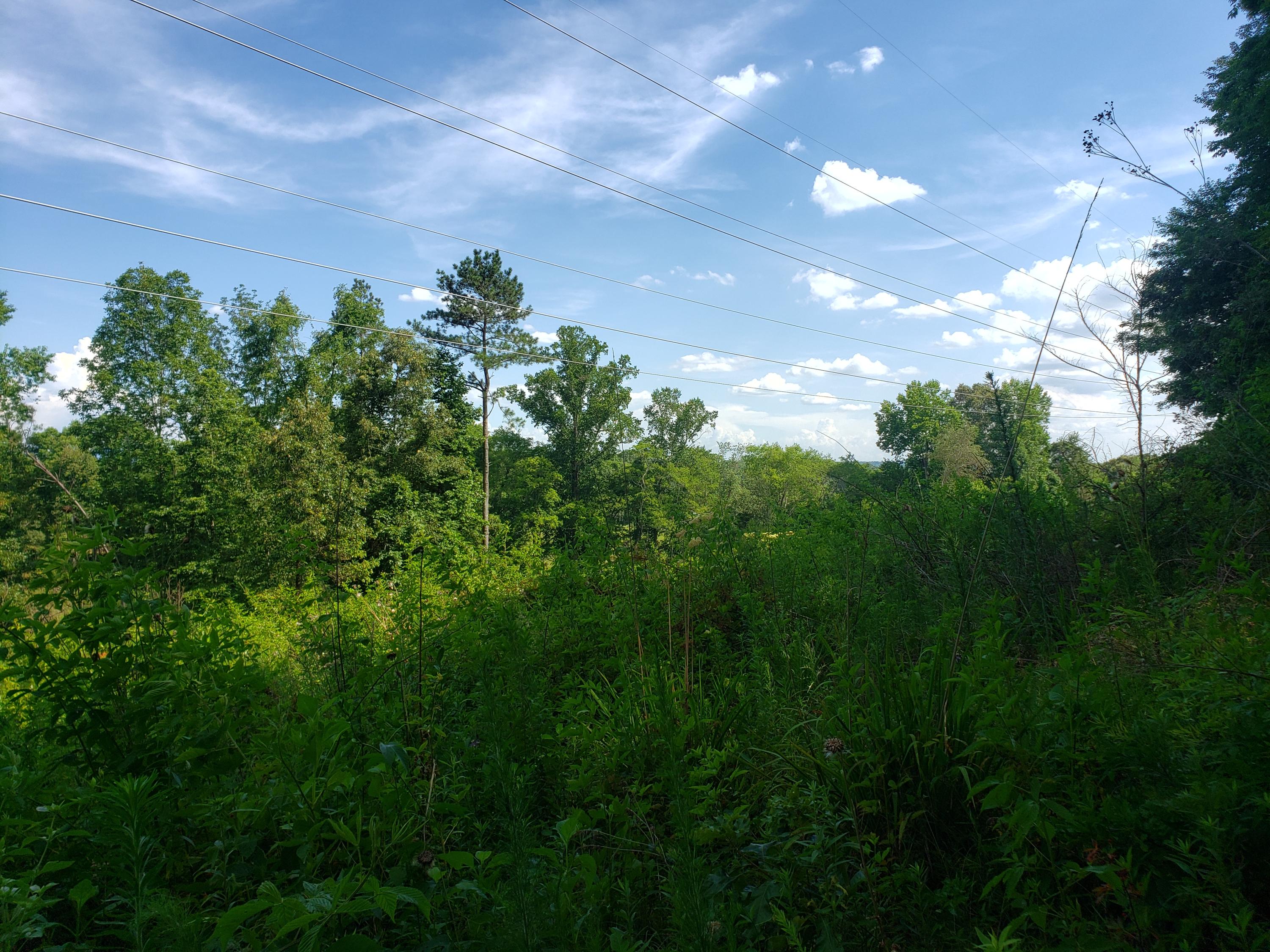 135 County Road Riceville, TN 37370 - Photo 9 of 13 20210630_165309