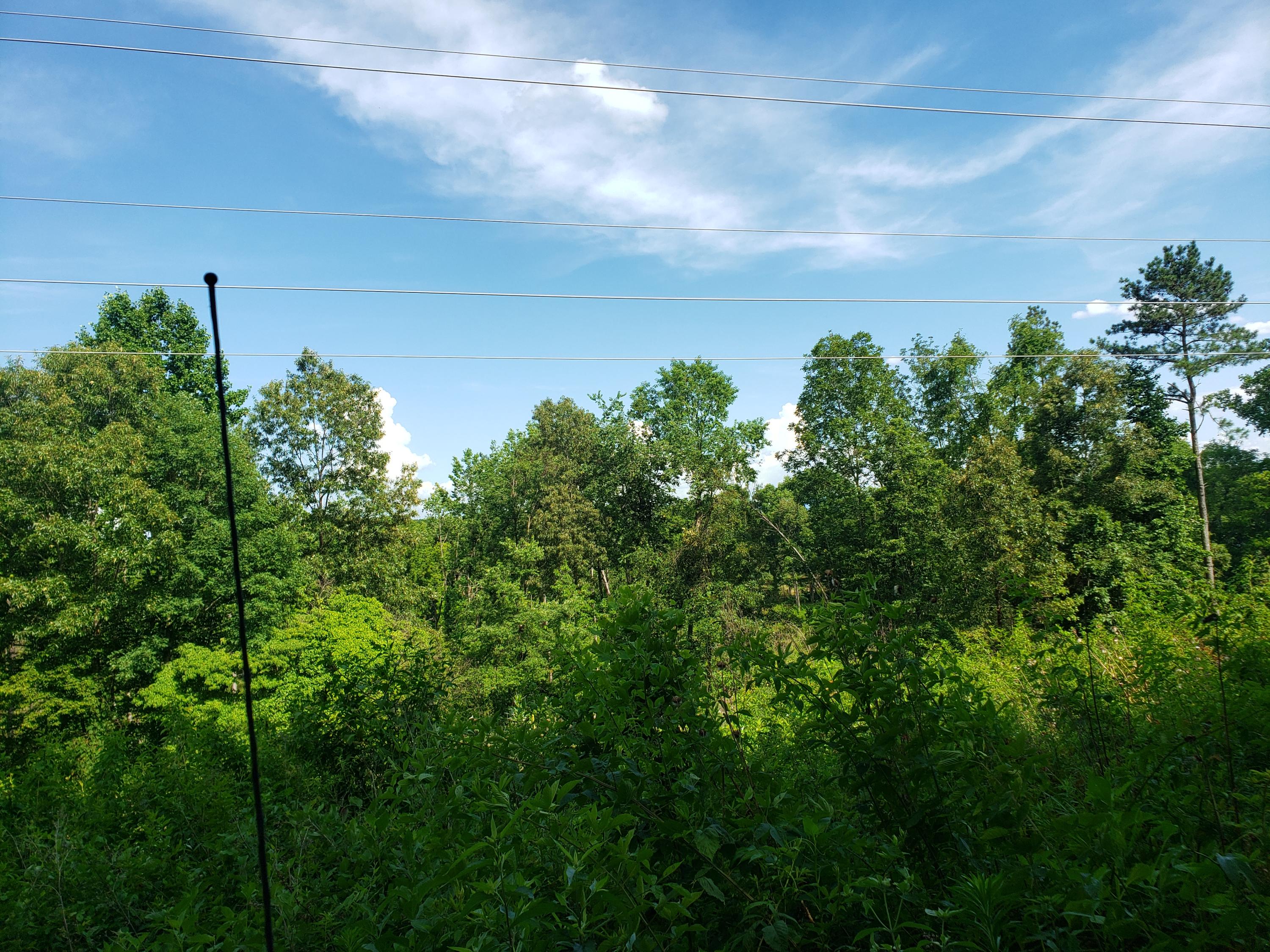135 County Road Riceville, TN 37370 - Photo 10 of 13 20210630_165311