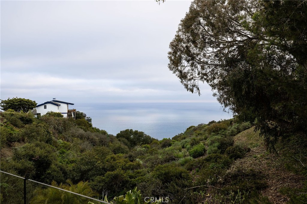 865 Balboa Avenue Laguna Beach, CA 92651 - Photo 26 of 60