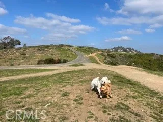 a childrens park with lots of swings and slides