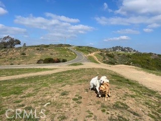 865 Balboa Avenue Laguna Beach, CA 92651 - Photo 50 of 60 a view of a lake with a mountain