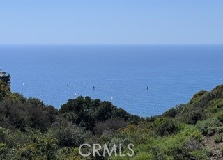 865 Balboa Avenue Laguna Beach, CA 92651 - Photo 51 of 60 a view of a field