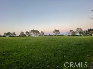 865 Balboa Avenue Laguna Beach, CA 92651 - Photo 59 of 60 a view of garden