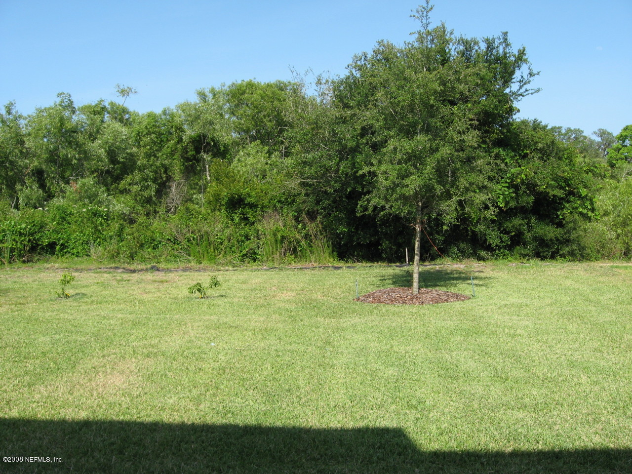 1126 Overdale Road St. Augustine, FL 32080 - Photo 14 of 14 Backyard