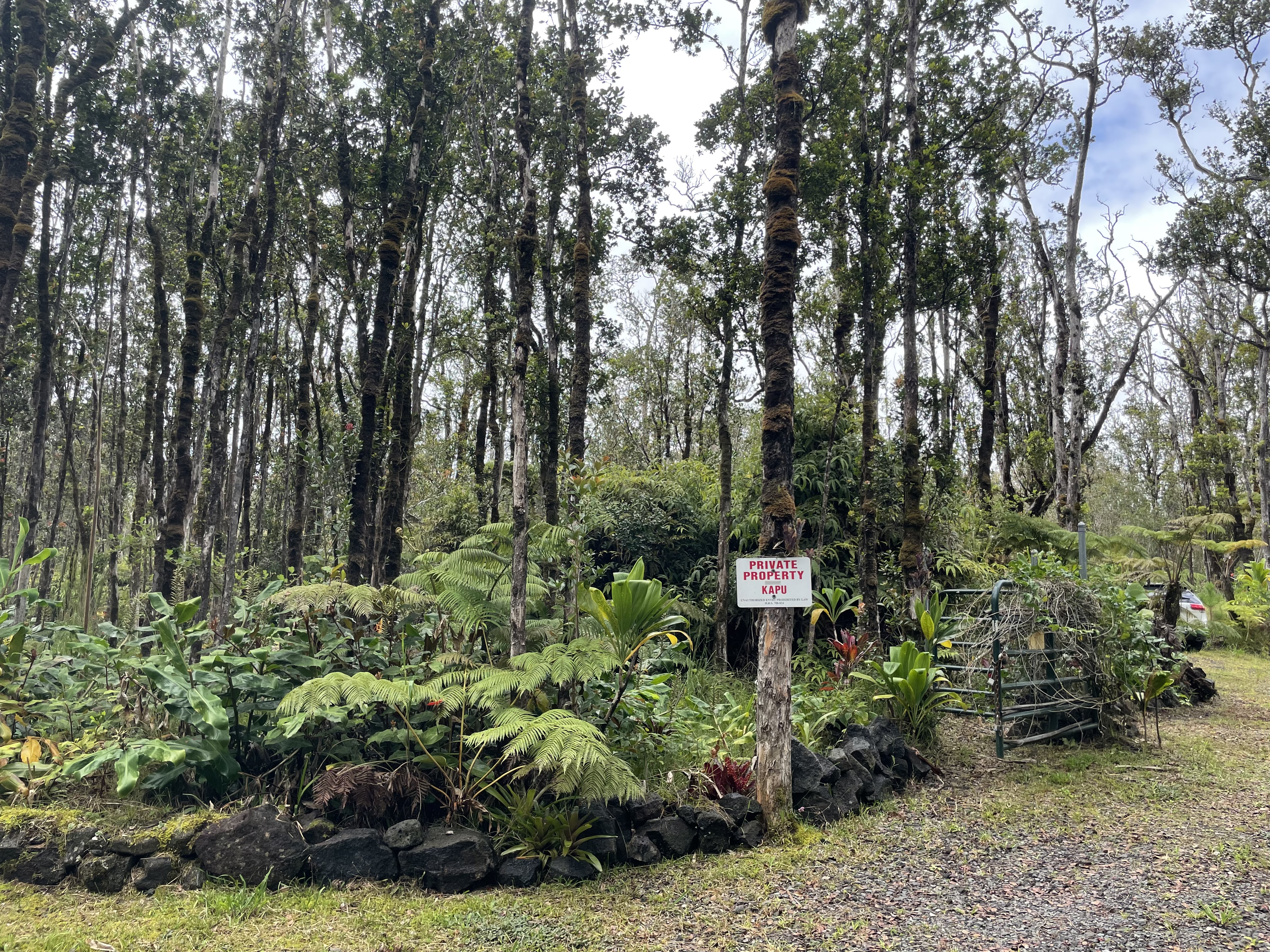 32 Omaomao Road Pahoa, HI 96778 - Photo 3 of 5 a view of a garden with plants and trees