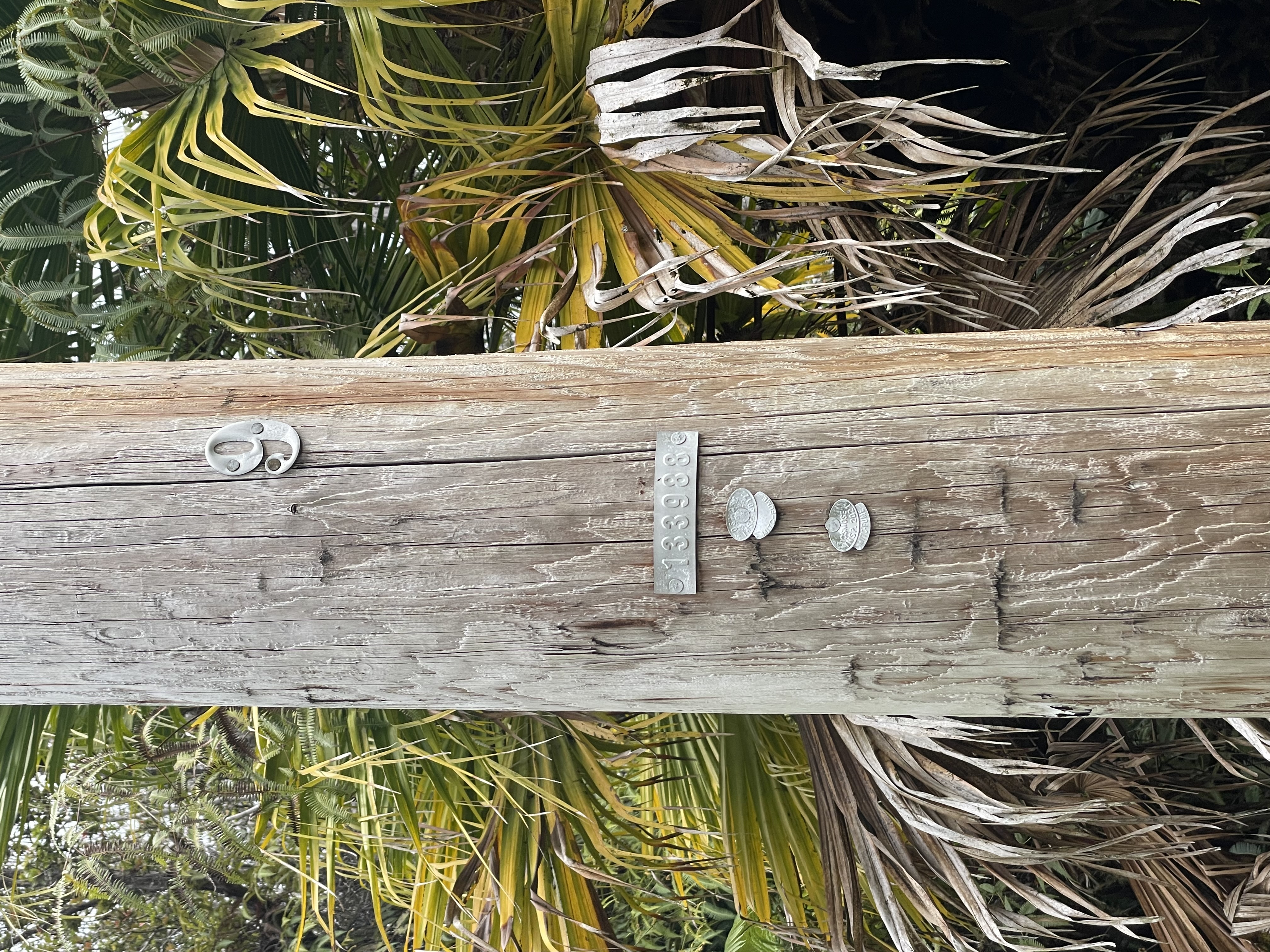 32 Omaomao Road Pahoa, HI 96778 - Photo 5 of 5 a bathroom with a shower