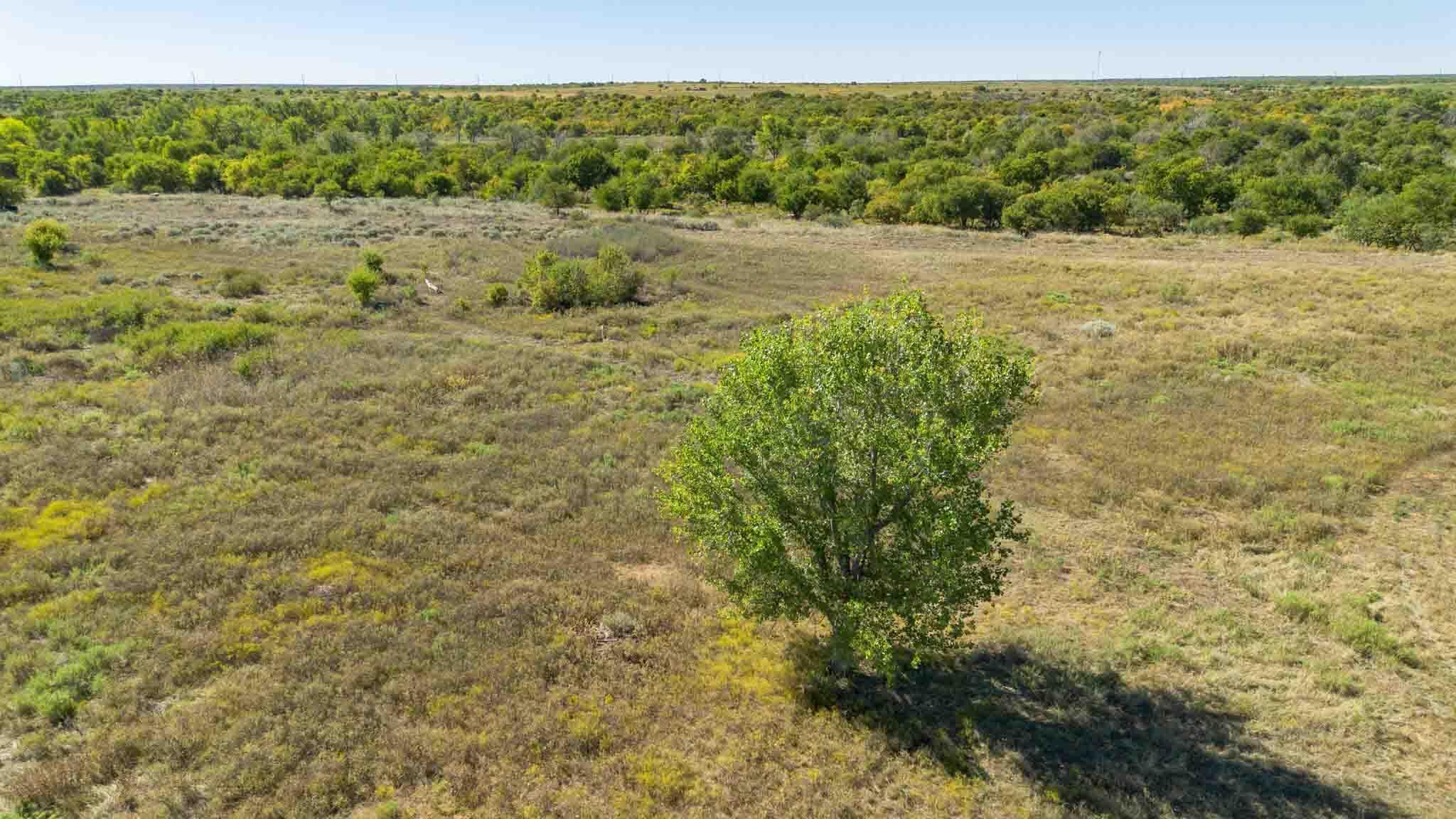 Quail Haven Childress, TX 79201 - Photo 11 of 65 Quail_Haven_Childress_Co-43