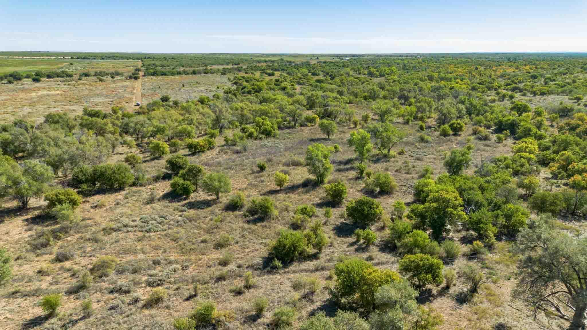 Quail Haven Childress, TX 79201 - Photo 12 of 65 Quail_Haven_Childress_Co-28