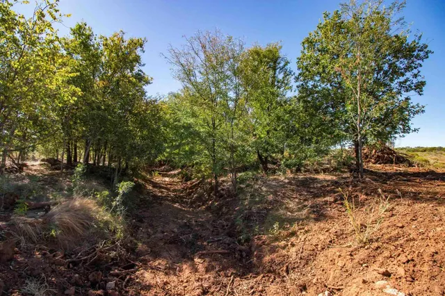 $1,120,000 | Quail Haven, Childress, TX 79201