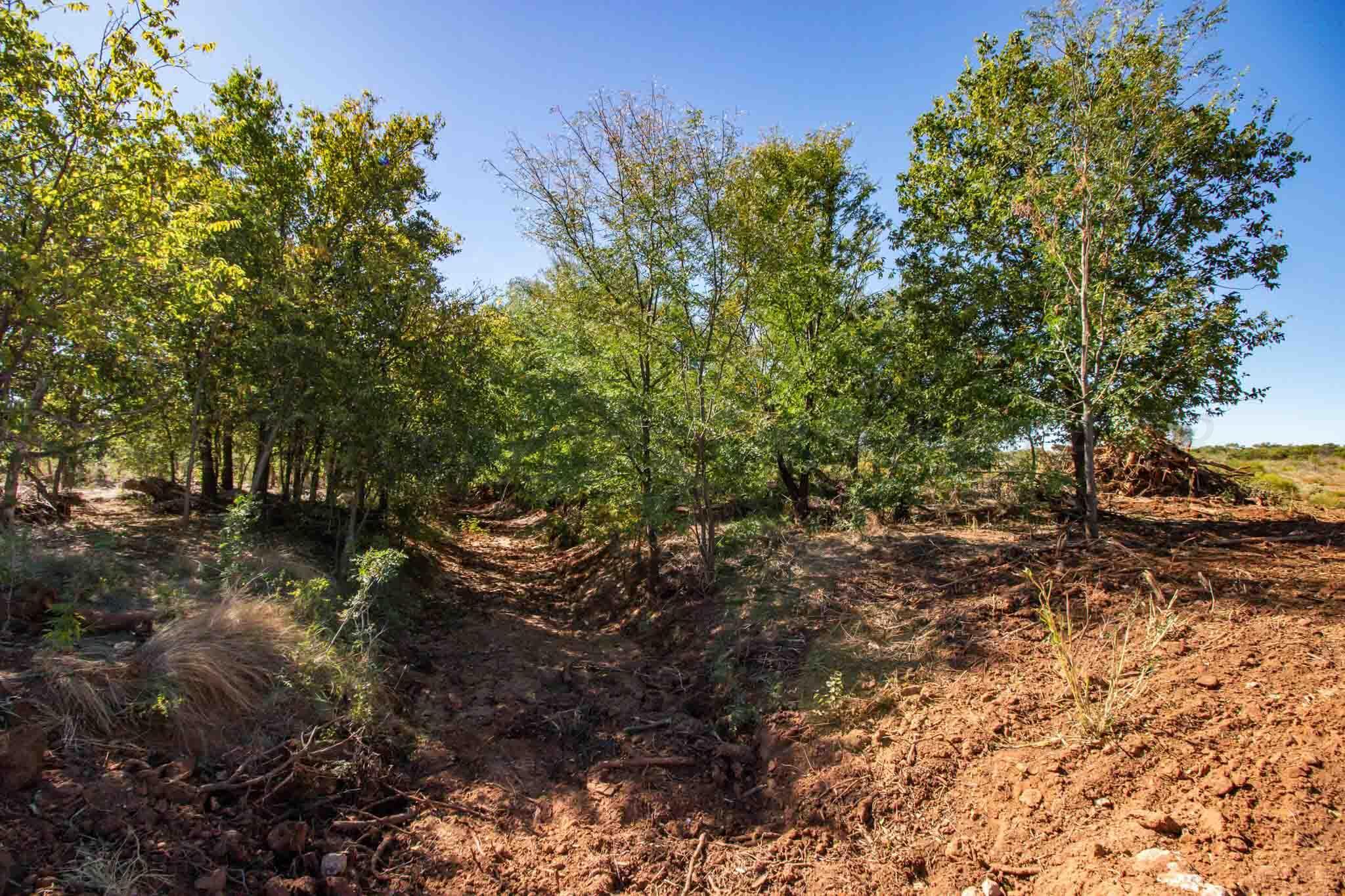 Quail Haven Childress, TX 79201 - Photo 13 of 65 a backyard of a house with lots of green space