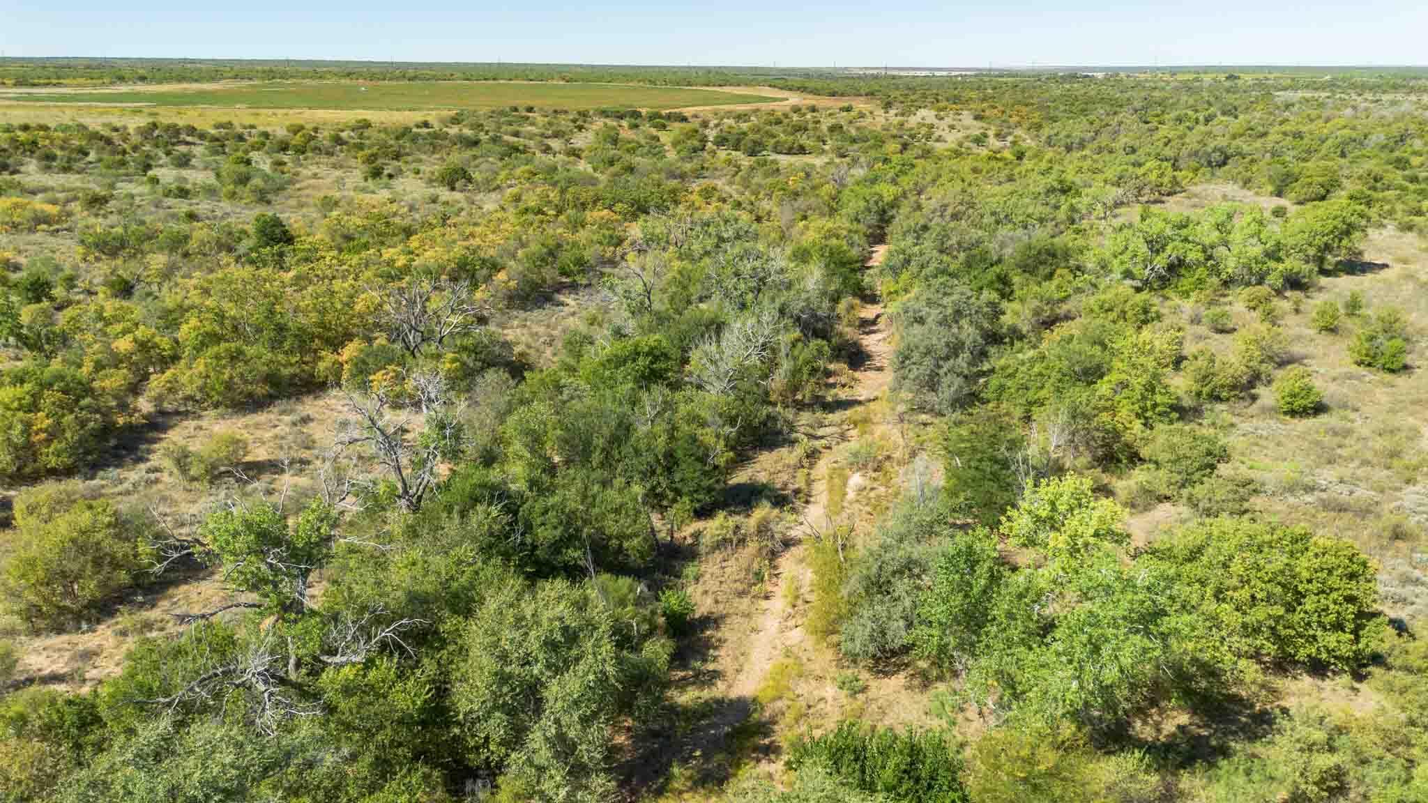 Quail Haven Childress, TX 79201 - Photo 2 of 65 Quail_Haven_Childress_Co-36