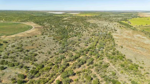 a view of an ocean from a yard