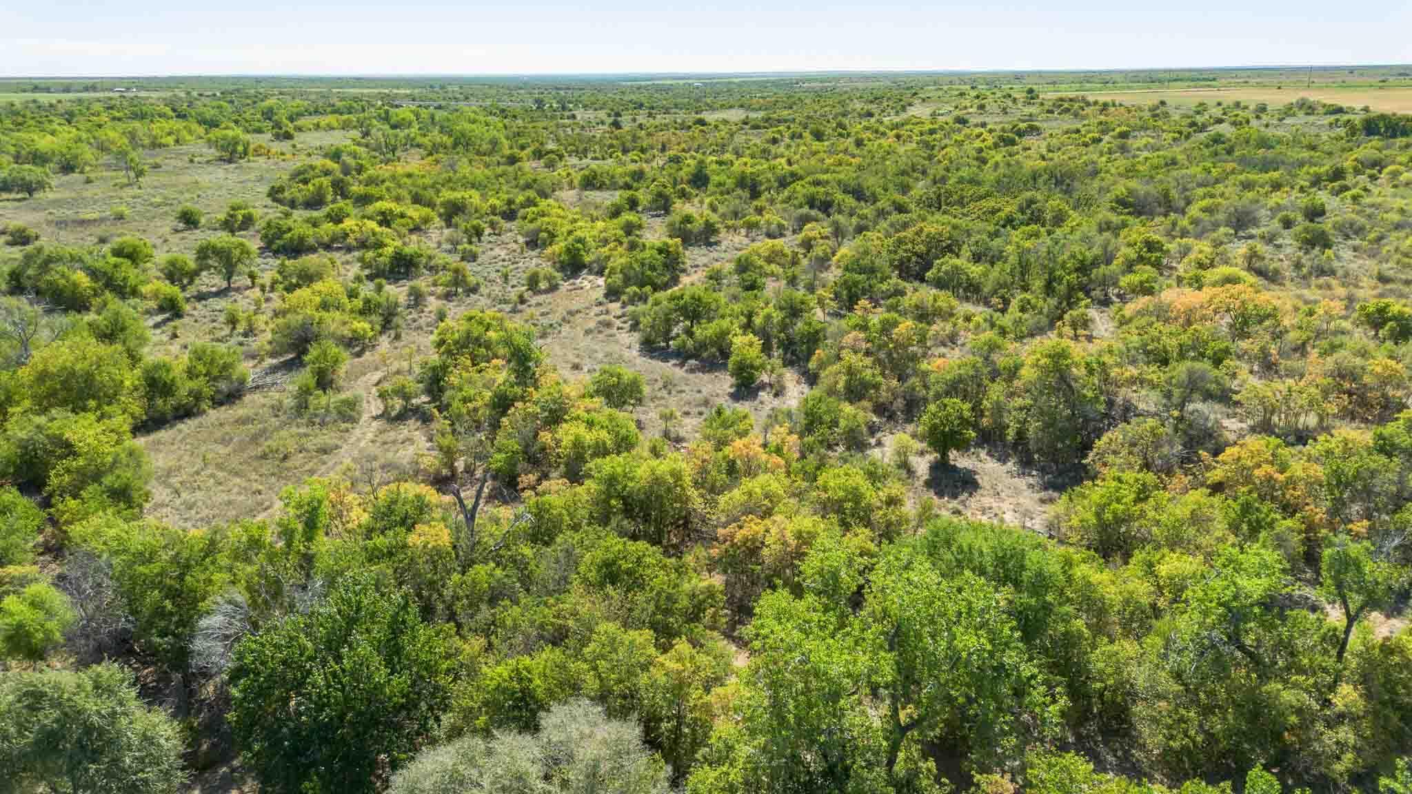 Quail Haven Childress, TX 79201 - Photo 5 of 65 Quail_Haven_Childress_Co-37