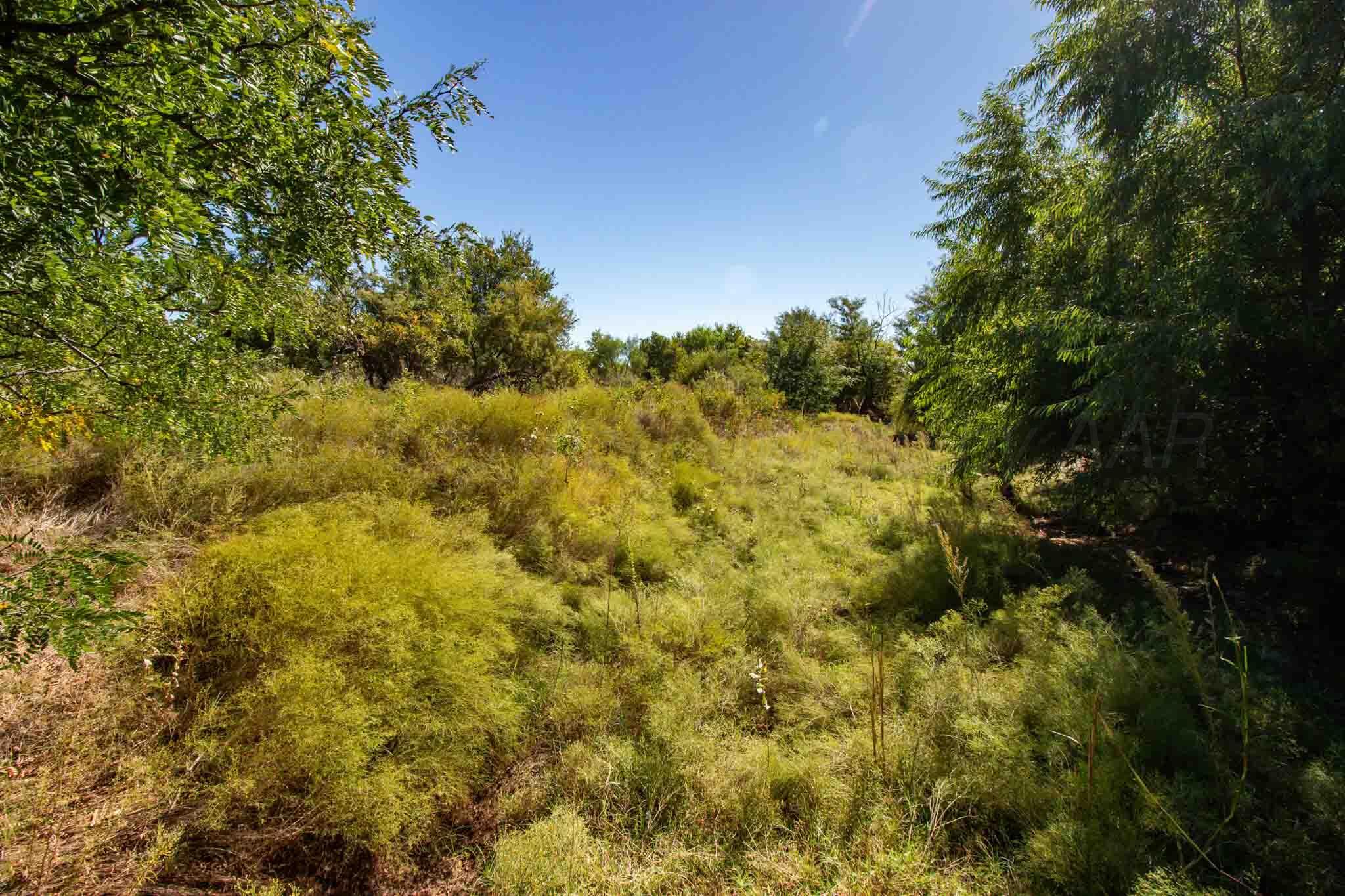 Quail Haven Childress, TX 79201 - Photo 10 of 65 Quail_Haven_Childress_Co-41