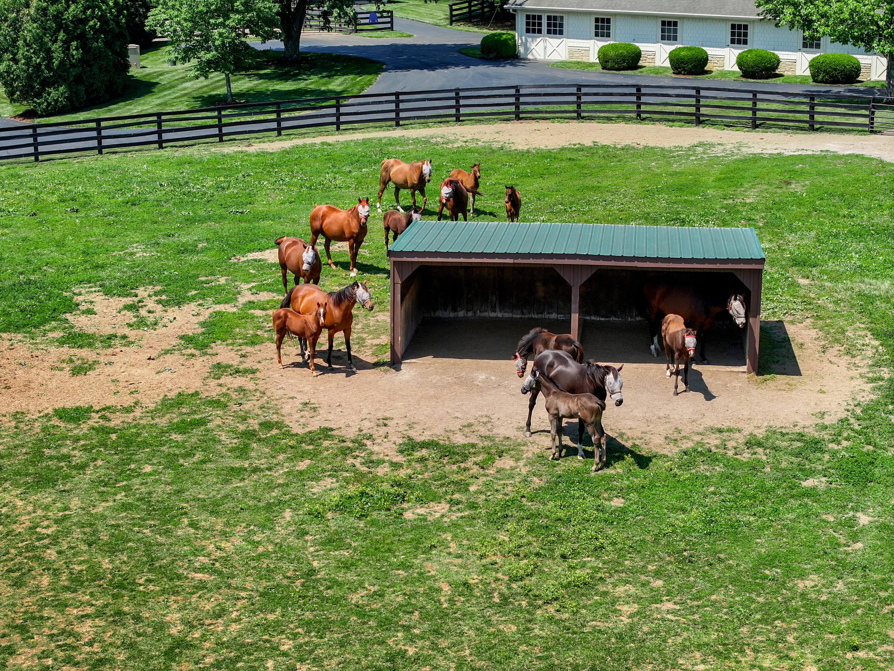 595 Moores Mill Road Midway, KY 40347 - Photo 110 of 149 DJI_20260515234952_0828_D