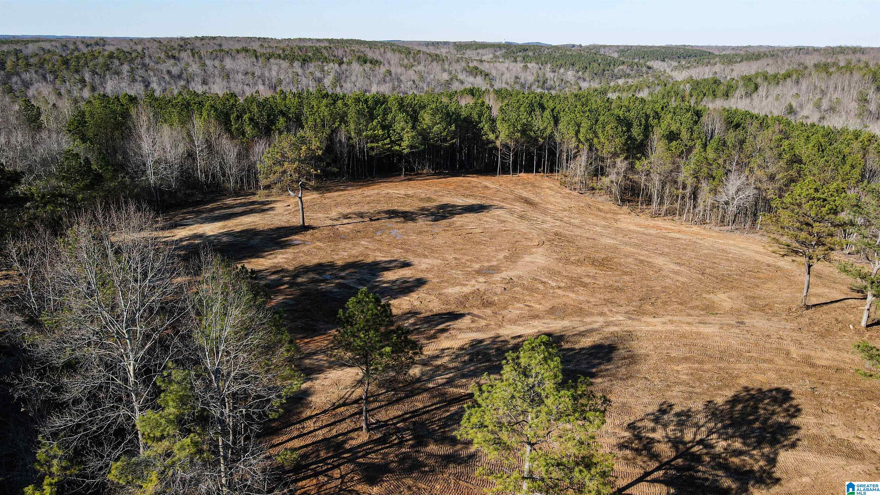 3379 County Road 80, Unit 1 Addison, AL 35540 - Photo 4 of 53