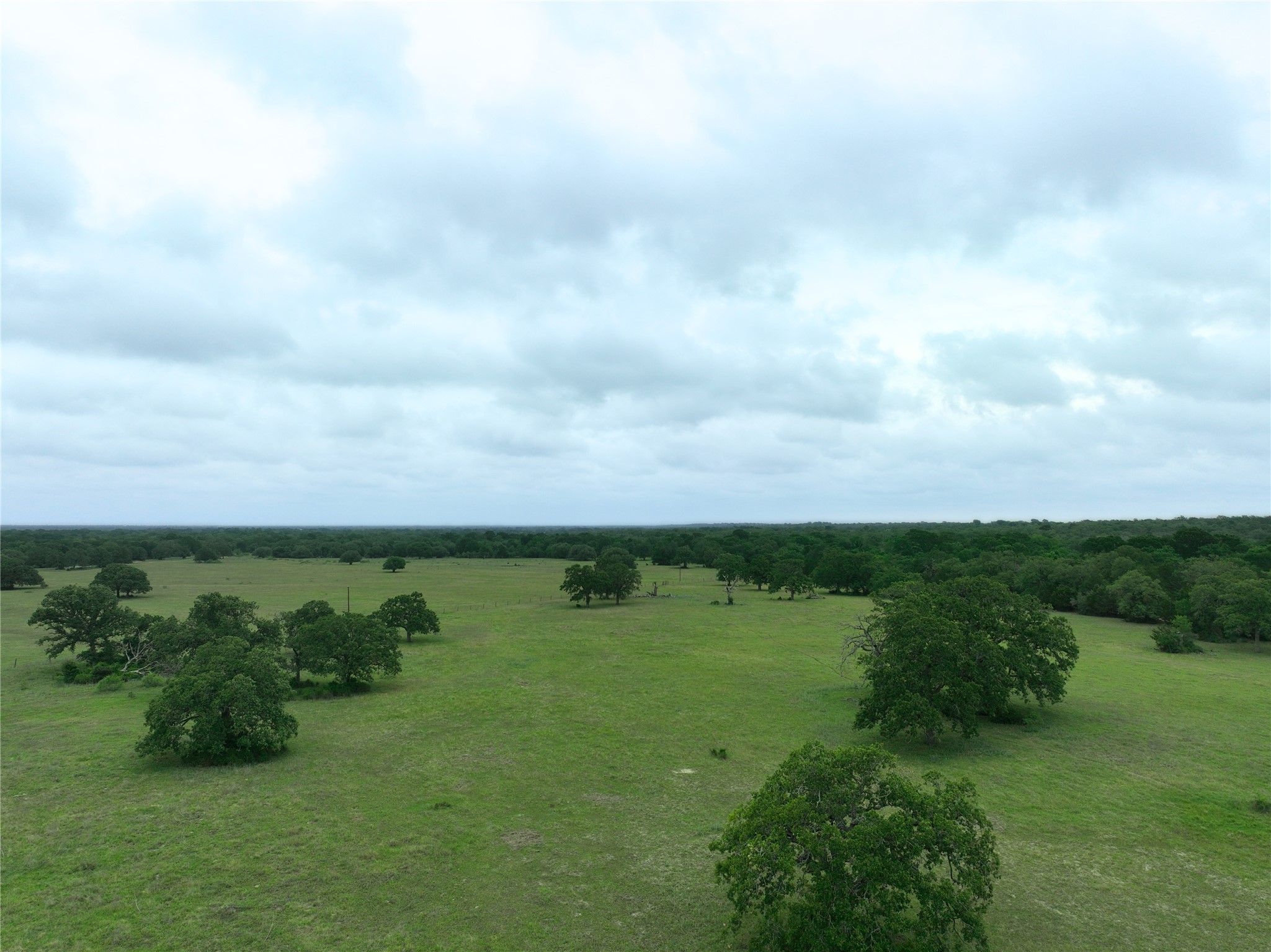 127 Rd Ledbetter Tx 78946 Road Ledbetter, TX 78946 - Photo 10 of 14 a view of a lake with a big yard