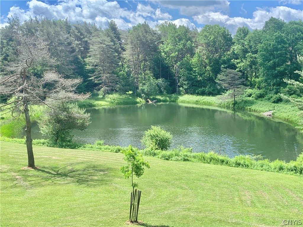 10149 Bailey Lake Road Brookfield, NY 13480 - Photo 46 of 49 view of large pond