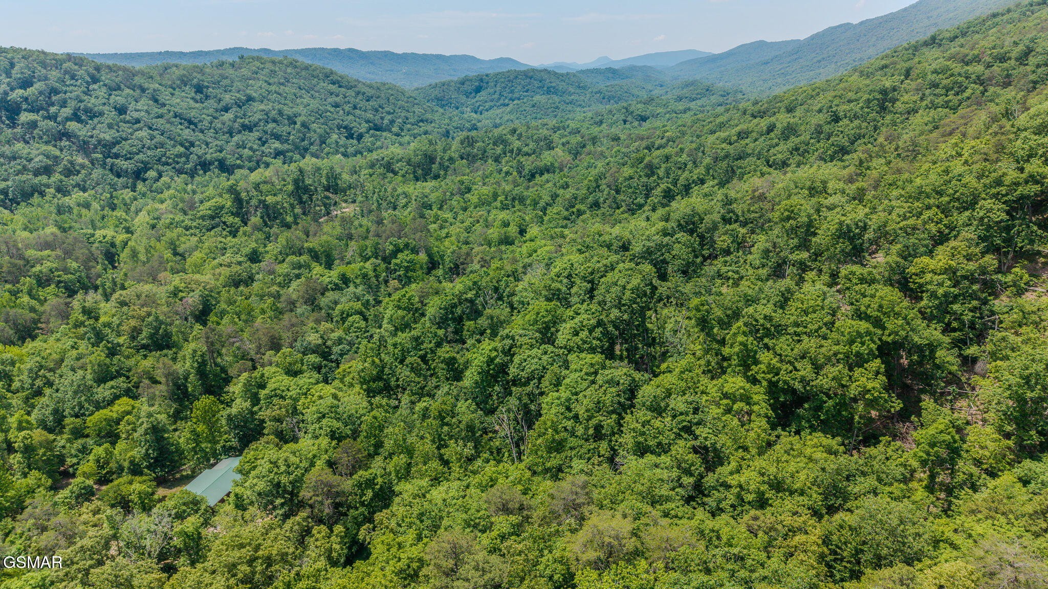 0 Poor Valley Road Rutledge, TN 37861 - Photo 8 of 9