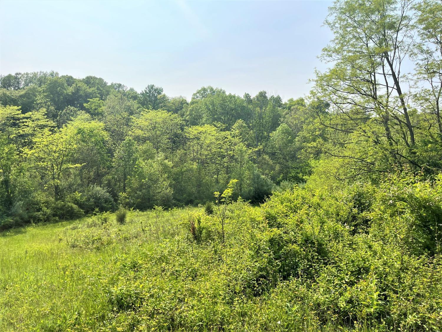 1258 Tri-County Road Winchester, OH 45697 - Photo 15 of 20 Gallery Image 15