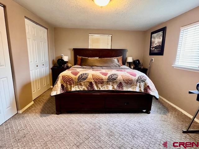5255 Oviatt Street Mosca, CO 81146 - Photo 2 of 10 a bed sitting in a bedroom next to a window