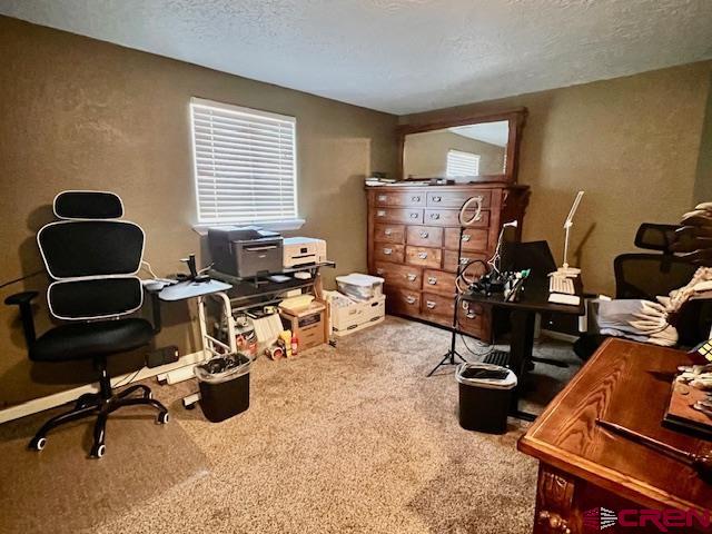 5255 Oviatt Street Mosca, CO 81146 - Photo 3 of 10 a room with furniture gym equipment and a window