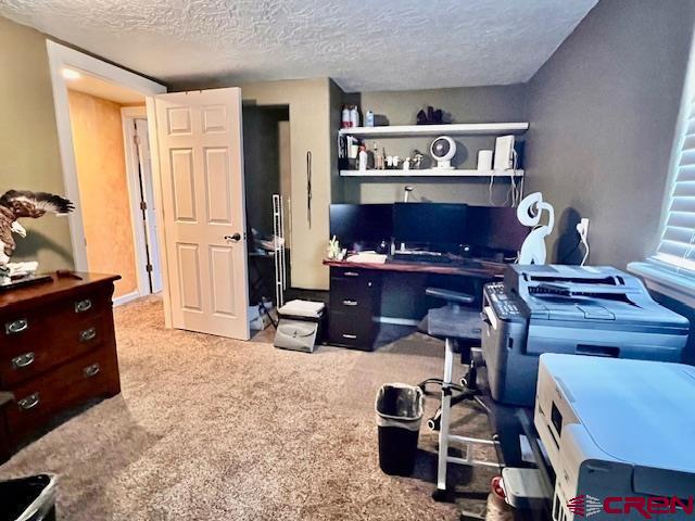 5255 Oviatt Street Mosca, CO 81146 - Photo 4 of 10 a room with furniture and a fireplace