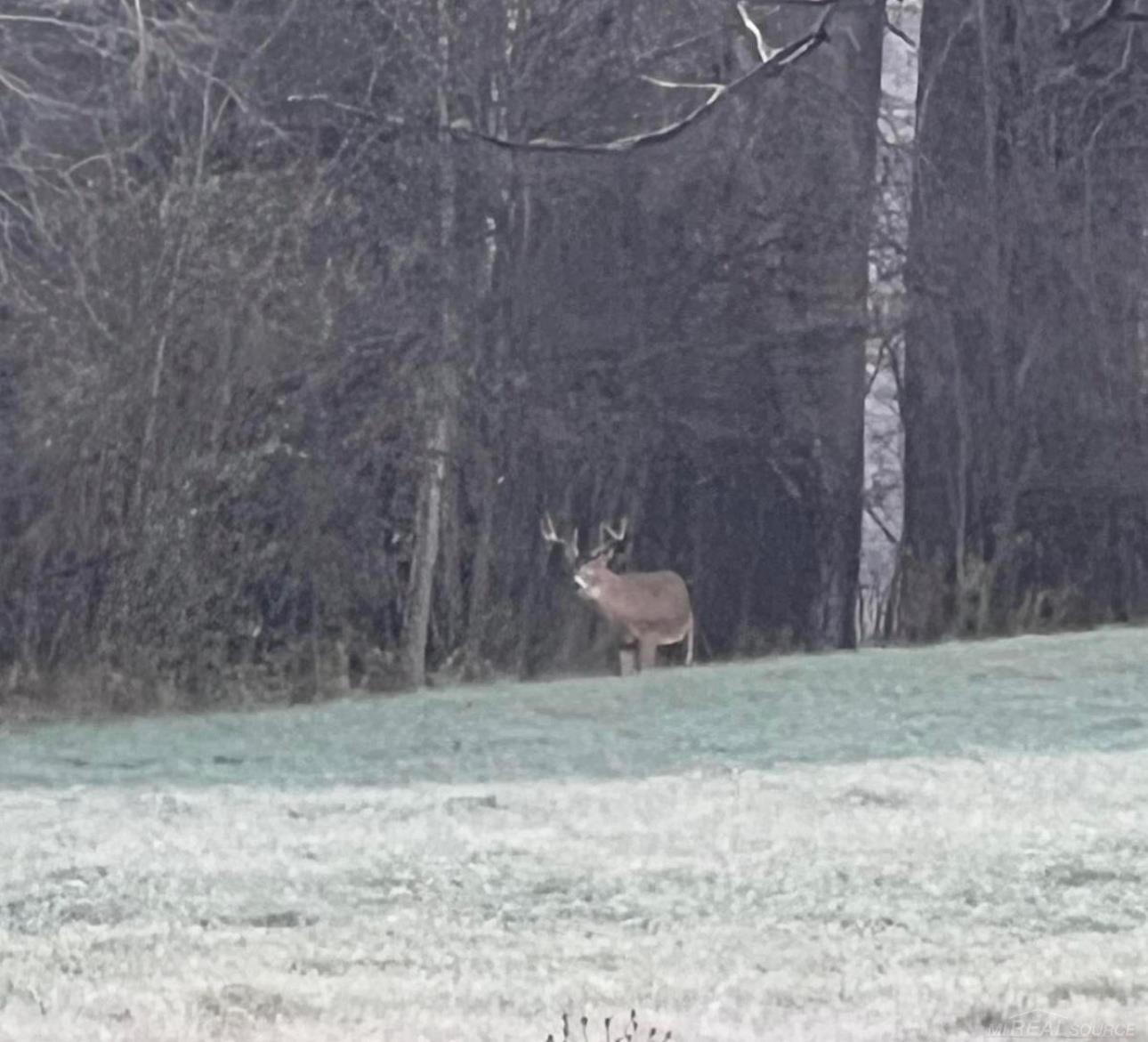 1385 North Blacks Corners Road Imlay City, MI 48444 - Photo 58 of 65 50211655-50ac3eae-8d89-45c9-b338-0b64529d973f.JPG