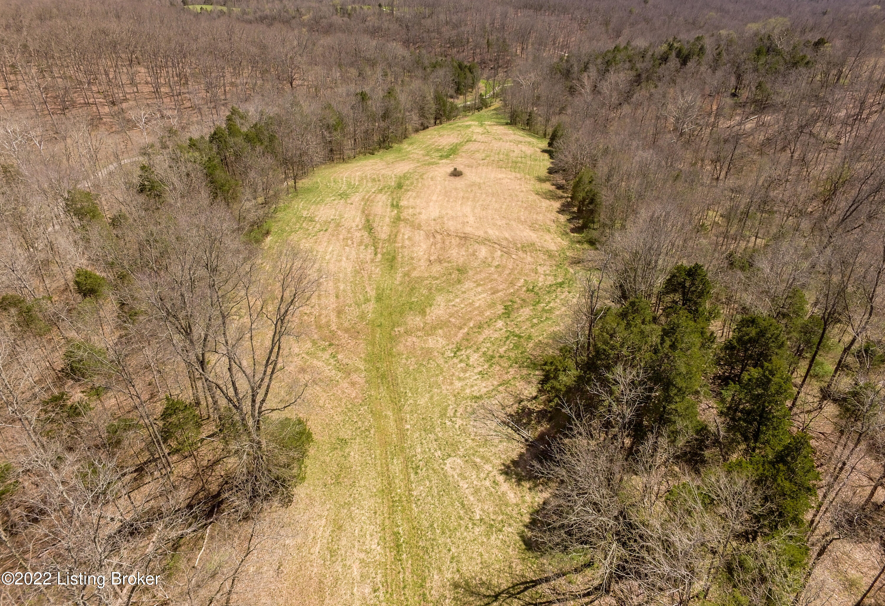1 Cat Ridge Road Waddy, KY 40076 - Photo 8 of 16 Tract 1