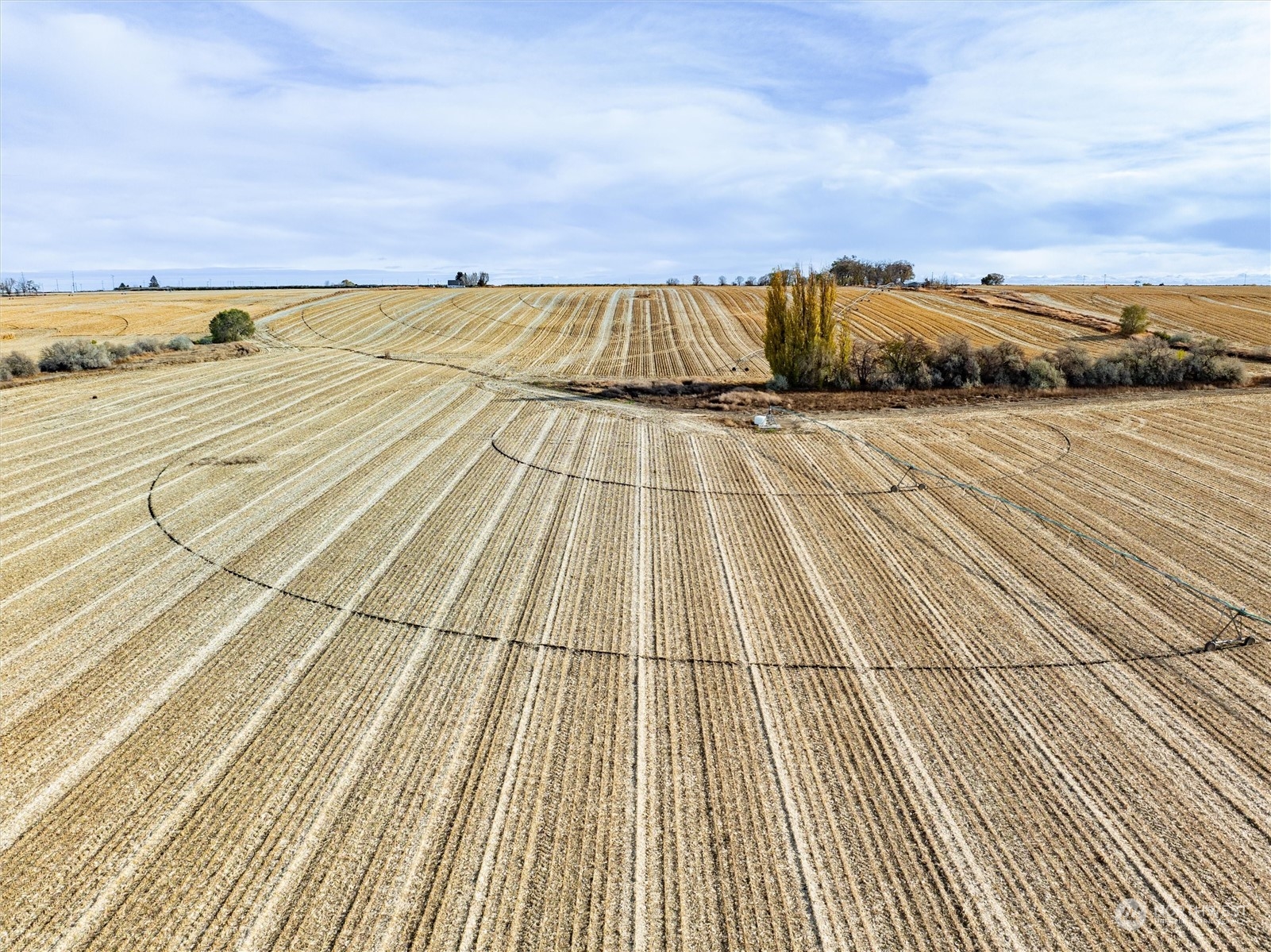 0 Nka Hawk 1 Lane Connell, WA 99326 - Photo 18 of 23