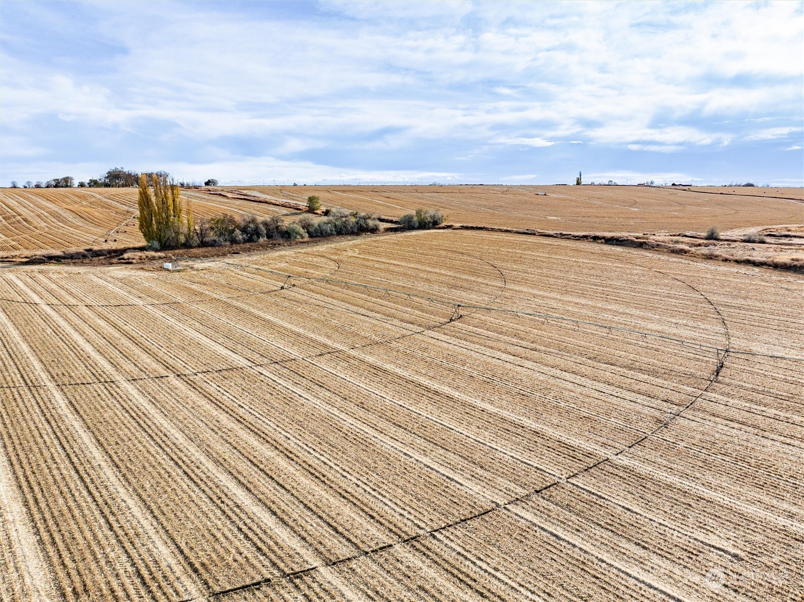 0 Nka Hawk 1 Lane Connell, WA 99326 - Photo 19 of 23