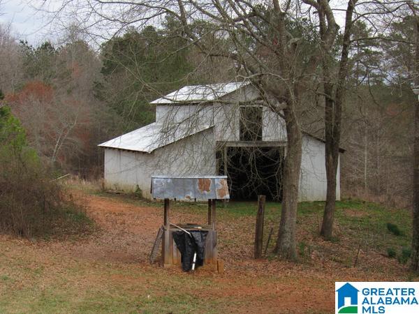 844 County Road 313 Delta, AL 36258 - Photo 13 of 35