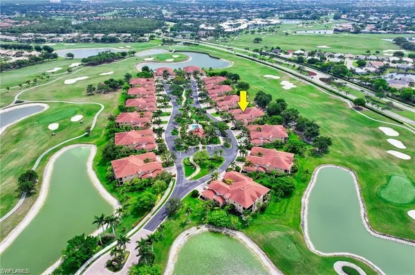 a picture of a black and white photo