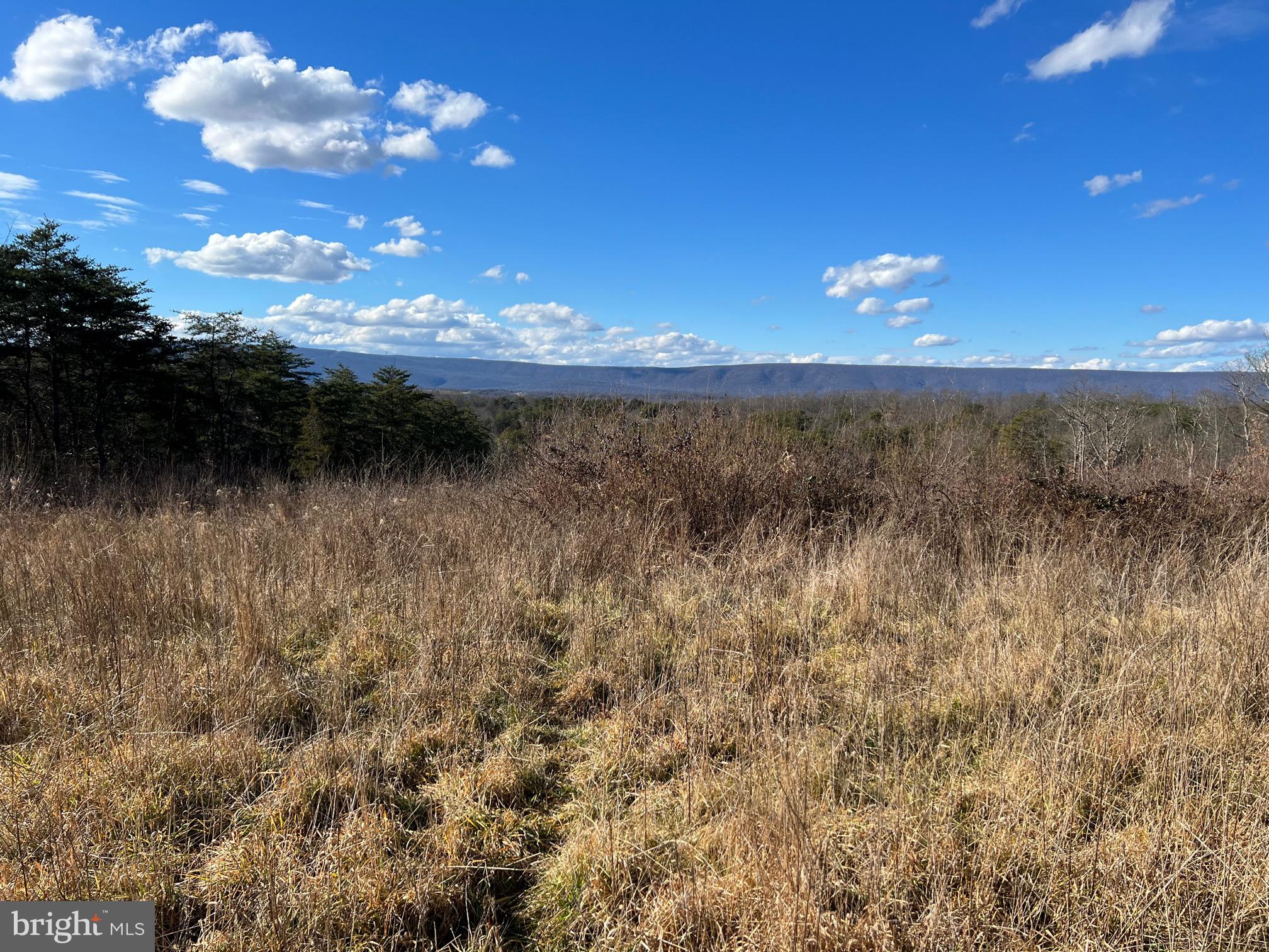 10 Winchester Grade Road Berkeley Springs, WV 25411 - Photo 4 of 6