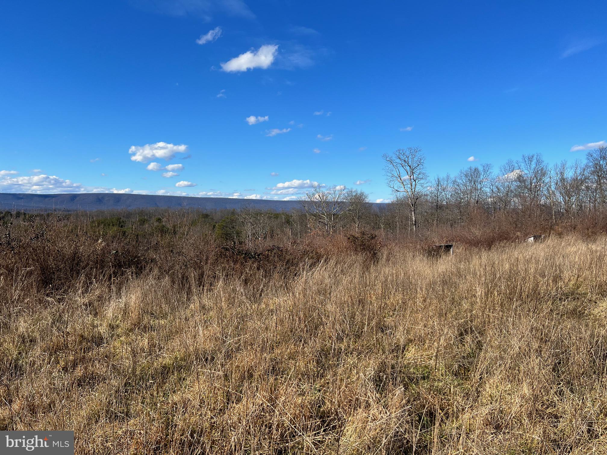 10 Winchester Grade Road Berkeley Springs, WV 25411 - Photo 5 of 6