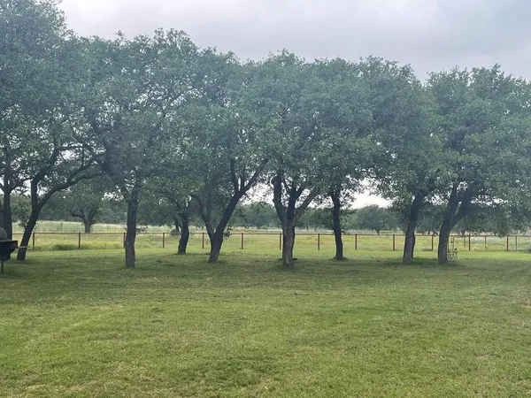 a view of a field with an ocean