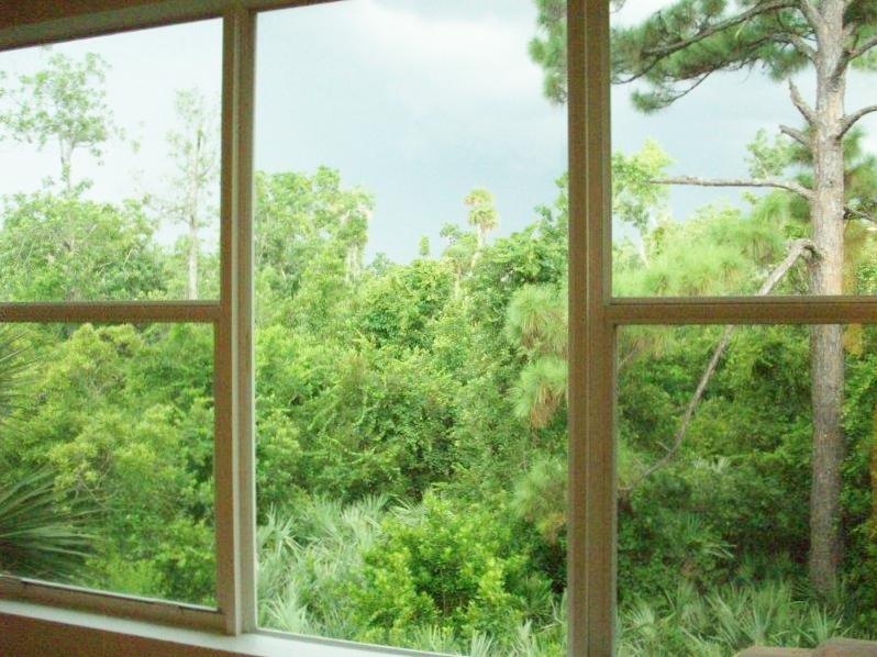 326 Southwest Walking Path Stuart, FL 34997 - Photo 28 of 49 a view of a garden from a window