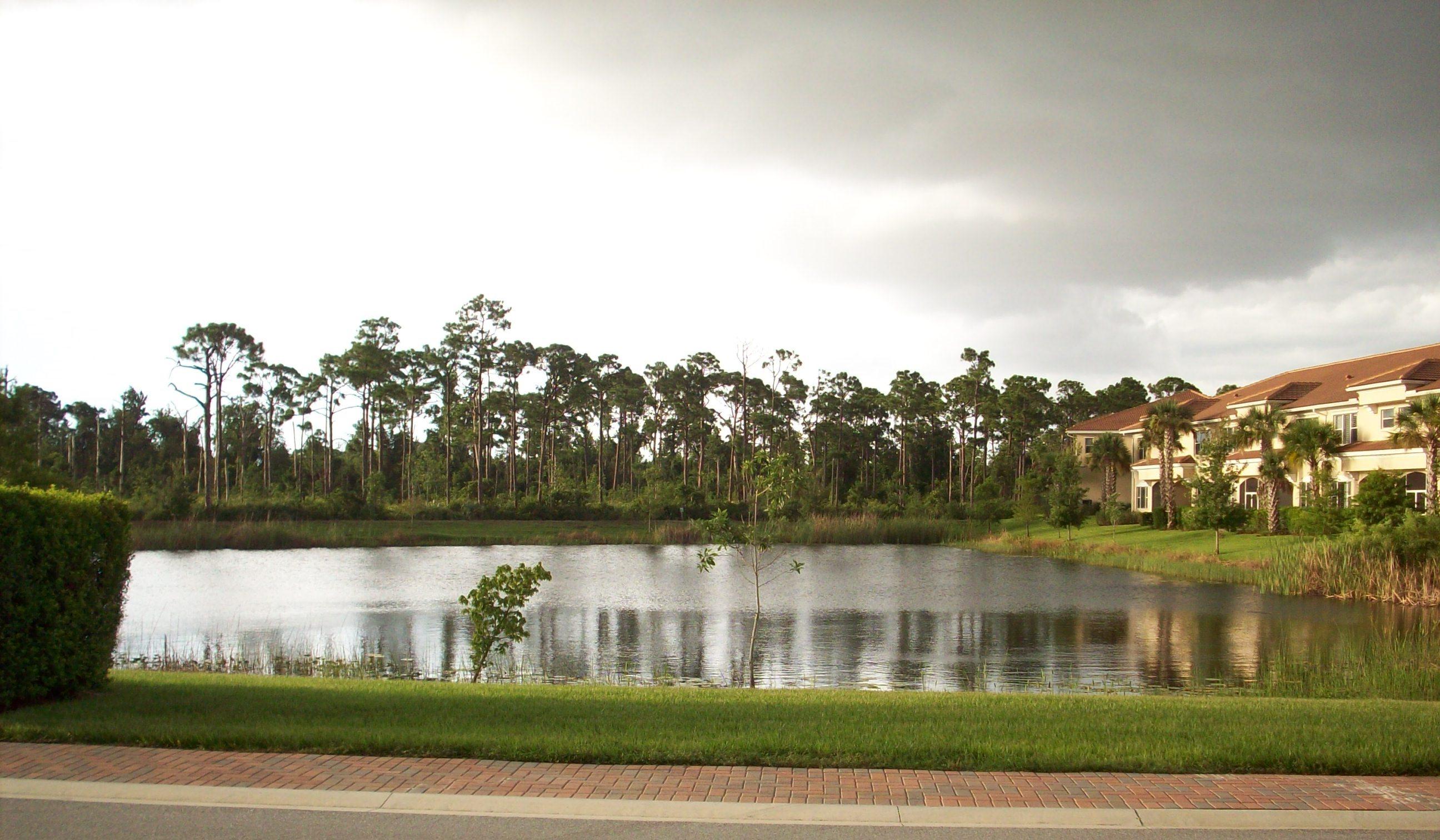 326 Southwest Walking Path Stuart, FL 34997 - Photo 3 of 49 a view of a lake