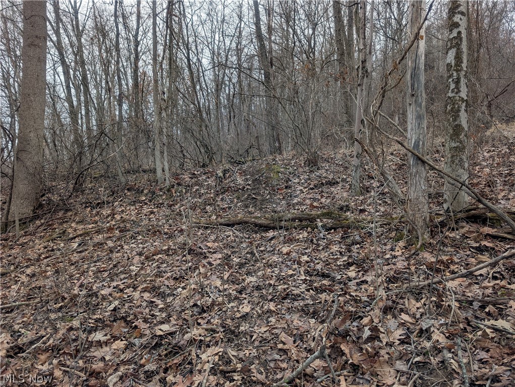 0 Tract 8 Barber Ridge Road Lewisville, OH 43754 - Photo 42 of 49 View of nature